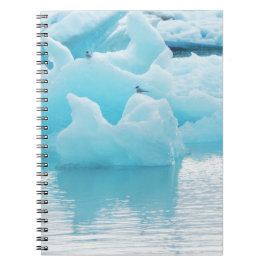 Carnet Sternes de Jökulsárlón