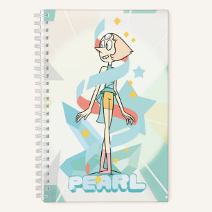 Carnet Steven Universe   Graphique de caractères perles