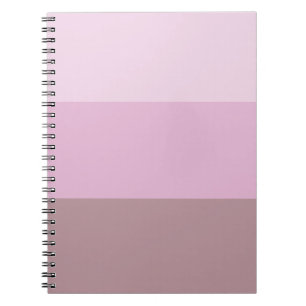 Carnet Striped ombre