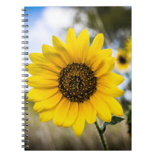 Carnet Stupéfaction ensoleillée