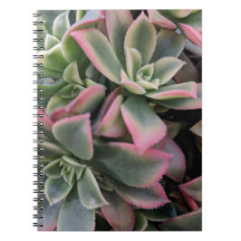 Carnet Succulent
