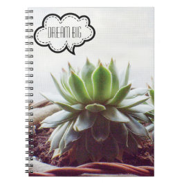Carnet Succulent rêve d'Aeonium Gros devis