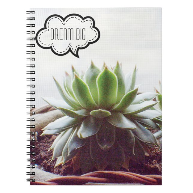 Carnet Succulent rêve d'Aeonium Gros devis (Devant)