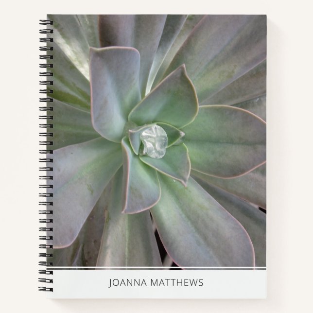 Carnet Succulent vert (Devant)