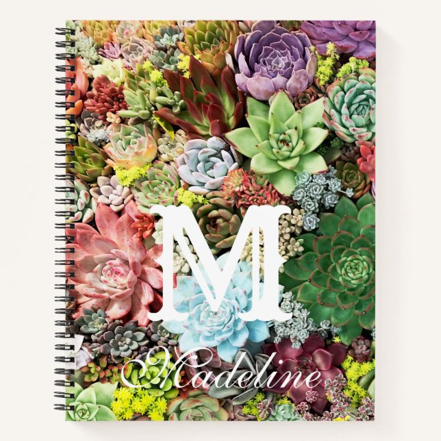 Carnet Succulents colorés (Devant)