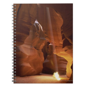 Carnet Sunbeam frappant l'amarante sur le plancher de