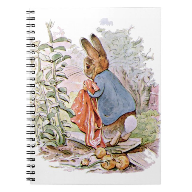 Carnet Sur le chemin de la maison Pierre a abandonné la p (Devant)