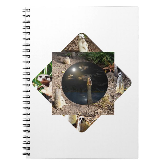 Carnet Suricate Polyscope,  (Devant)