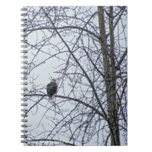Carnet Surveillance