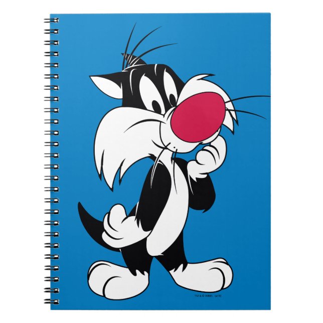 Carnet Sylvester Jr. | Pose classique (Devant)