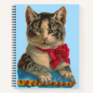 Carnet Tabby de Victoria