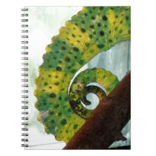 Carnet Tail de Chameleon