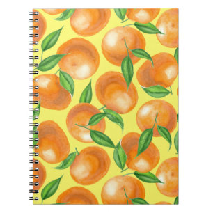Carnet Tangères d'aquarelle