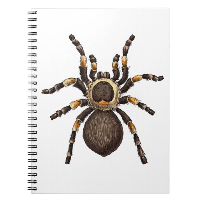 Carnet Tarantula (Devant)