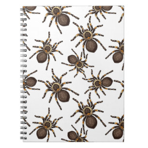 Carnet Tarantula sur blanc