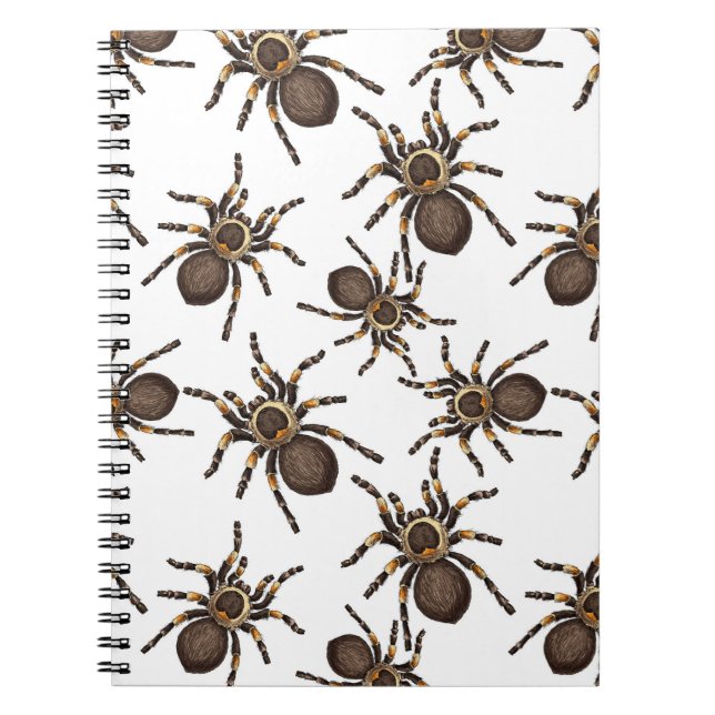 Carnet Tarantula sur blanc (Devant)