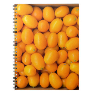 Carnet Tas des kumquats oranges dans la boîte en carton