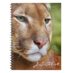Carnet TCWC - Art de puma de puma