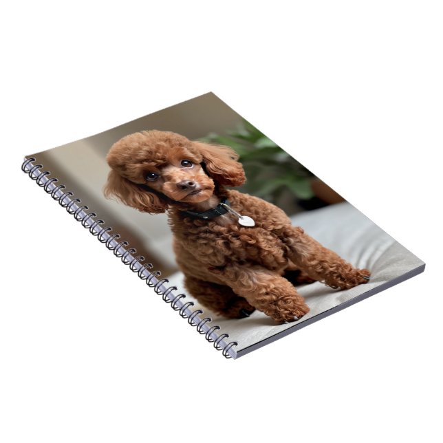 Carnet Teacup Poodle 2 (Côté Droit)