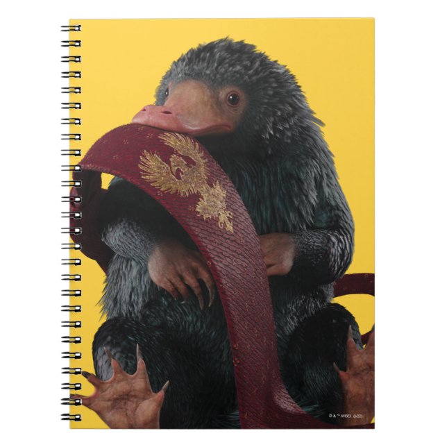 Carnet Teddy Avec Cravate Graphique (Devant)