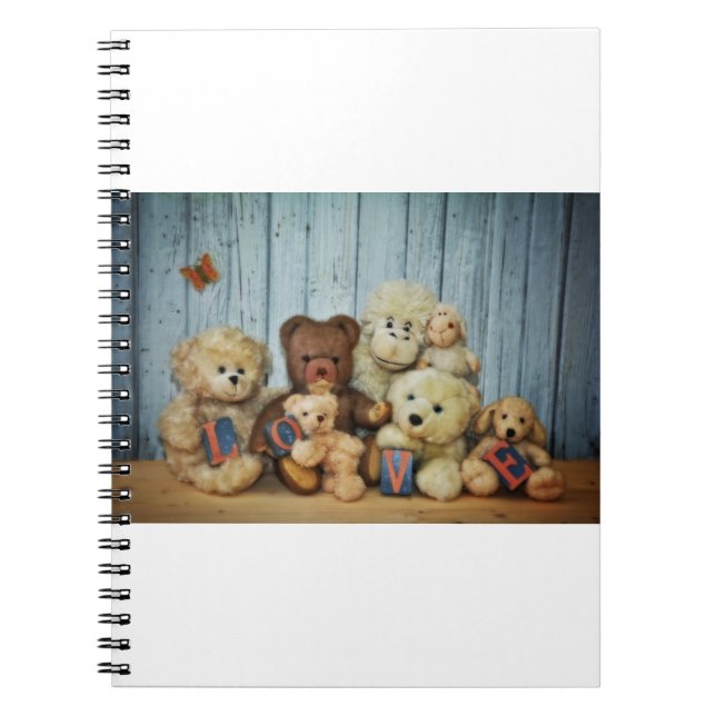 Carnet Teddy mit Freunde (Devant)