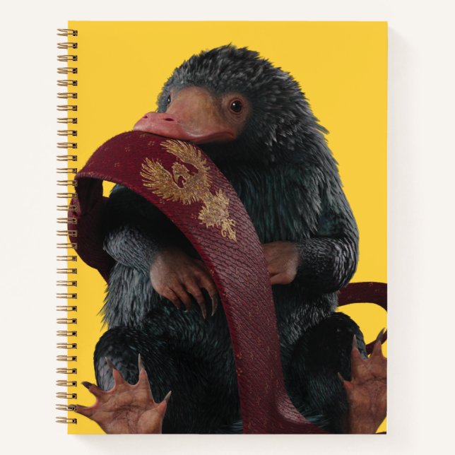 Carnet Teddy With Tie Graphic (Devant)