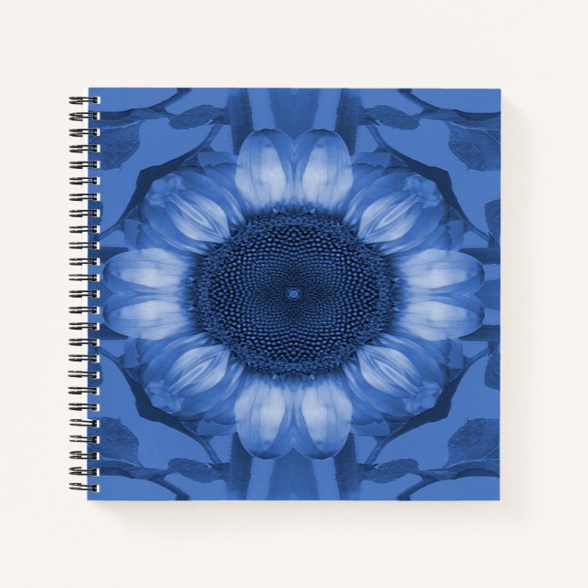 Carnet Temps bleu... (Devant)