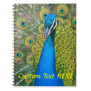 Carnet Tête de bleu de paon avec et plumes de queue