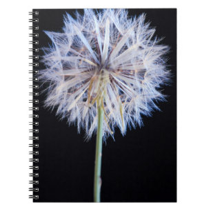 Carnet Tête de graine de pissenlit (Taraxacum Officinale)