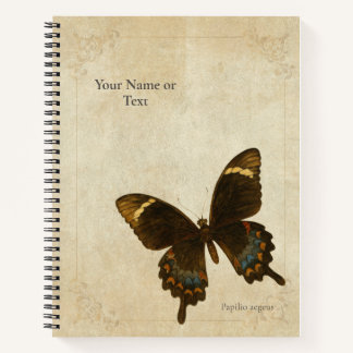 Carnet The Monarch of the Mandarins: Orchard Swallowtail