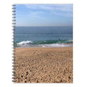 Carnet The Wedge, Newport Beach, Californie