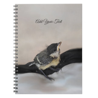 Carnet Tidi my Bird le Parus Major