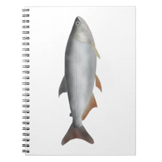 Carnet Tiete tetra