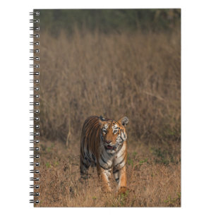 CARNET TIGER PORTRAIT