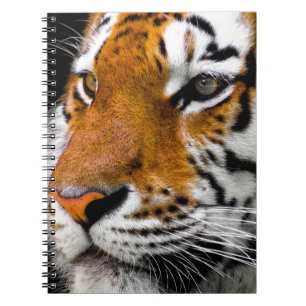 Carnet Tigre