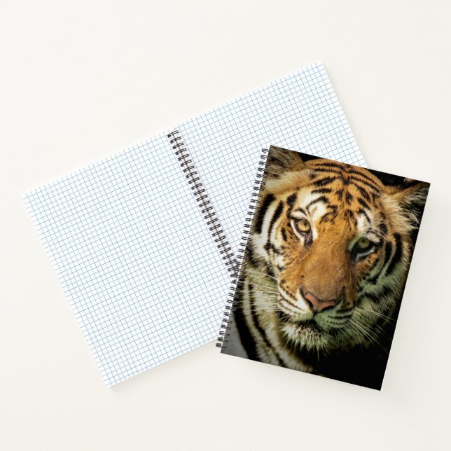 Carnet tigre (Intérieur)