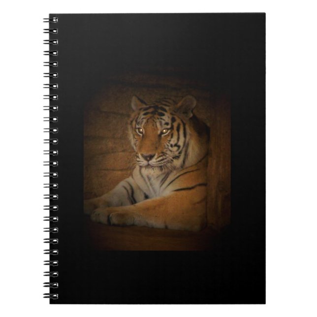 Carnet tigre (Devant)