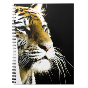 Carnet Tigre