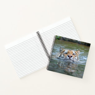 Carnet Tigre 028