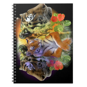 Carnet Tigre au zoo Henry Doorly