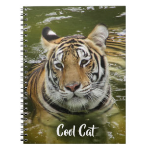 Carnet Tigre dans l'eau