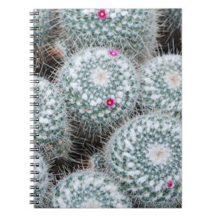 Carnet Tiny rose Fleurs Plantes Cactus