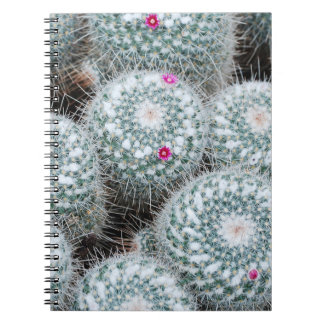 Carnet Tiny rose Fleurs Plantes Cactus