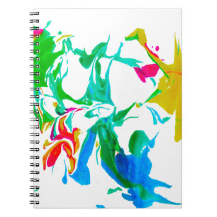 Carnet Toiles d'araignée colorées