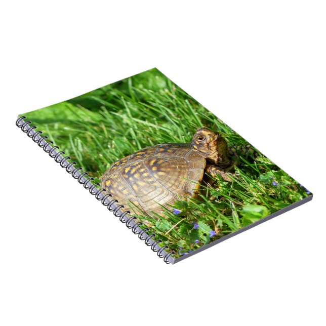 Carnet Tortue (Côté Droit)