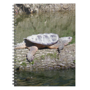 Carnet Tortue