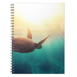 Carnet Tortue de mer - photographie sous-marine de nature