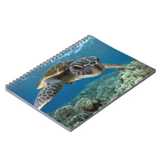 Carnet Tortue de mer verte hawaïenne