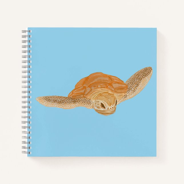 Carnet Tortue sous l'eau - transparente. (Devant)