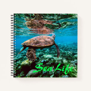 Carnet Tortue sous-marine tropicale